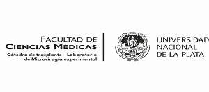 Logo Demo
