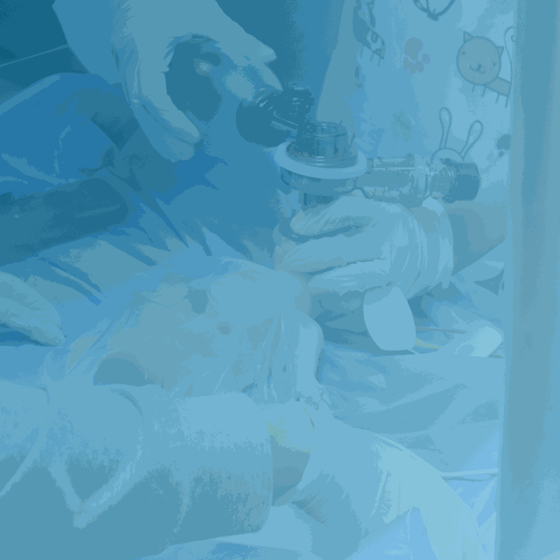 Odoo - Sample 1 for three columns